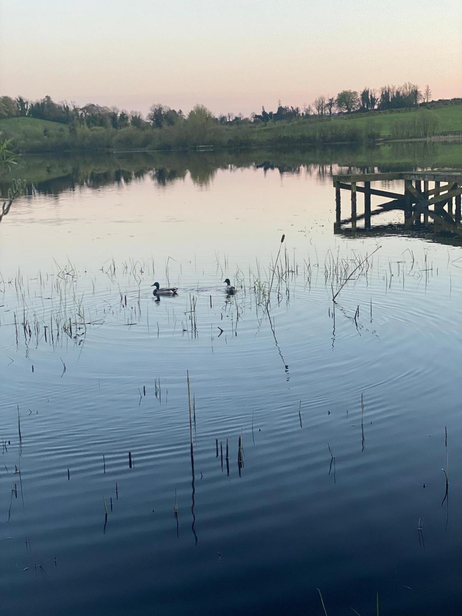 Killyfole Lakeside Lodges Corranny 外观 照片
