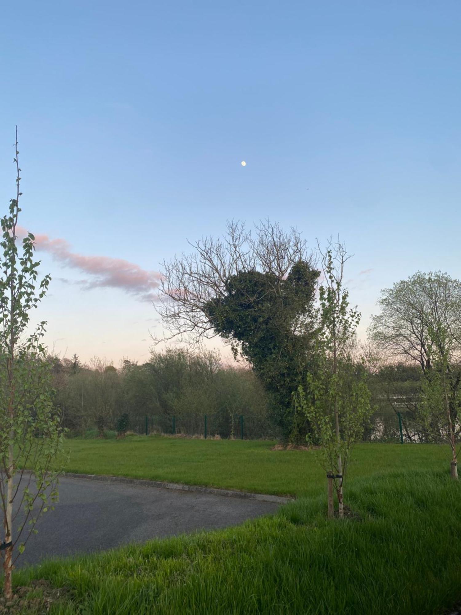 Killyfole Lakeside Lodges Corranny 外观 照片