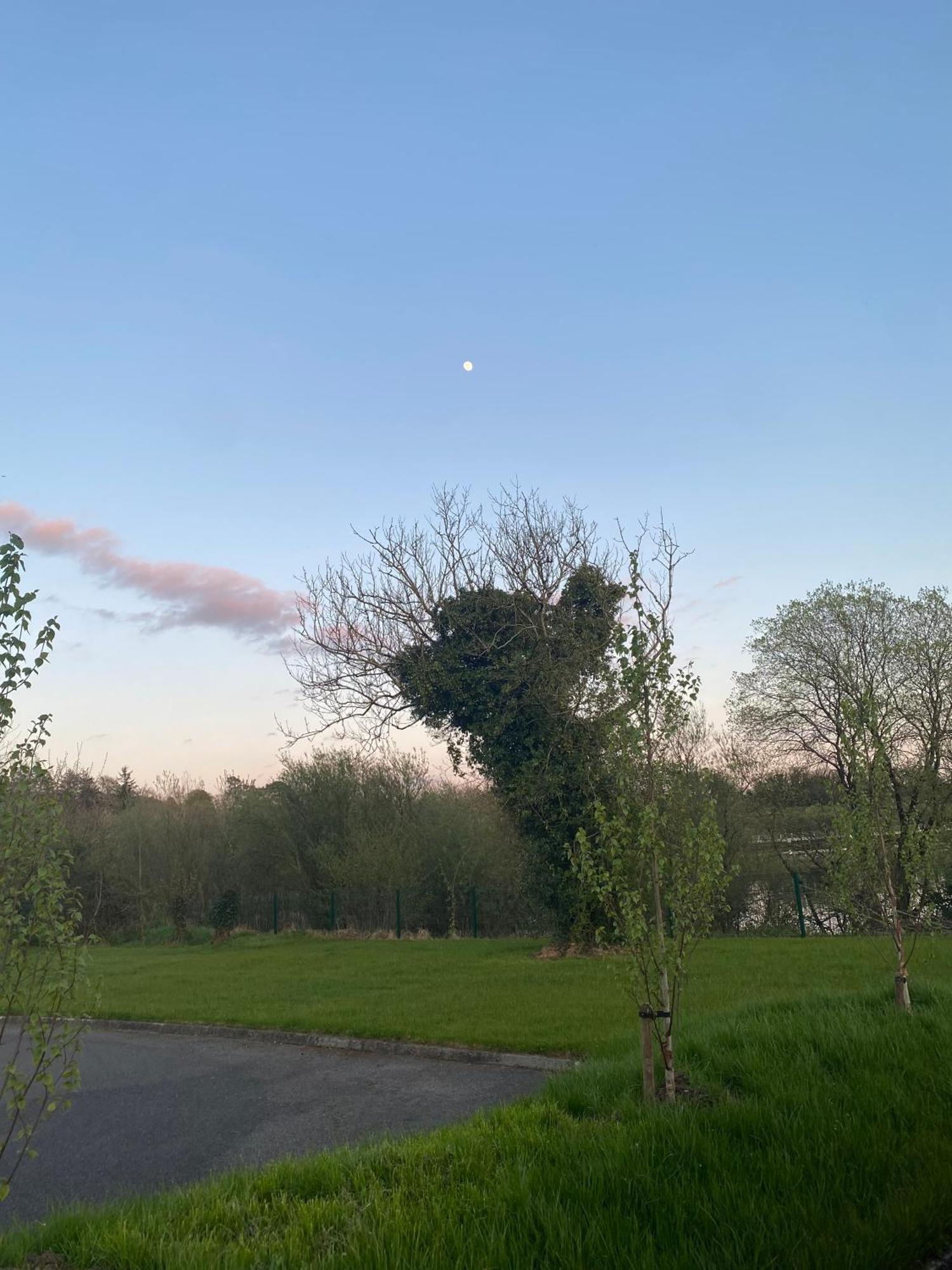 Killyfole Lakeside Lodges Corranny 外观 照片